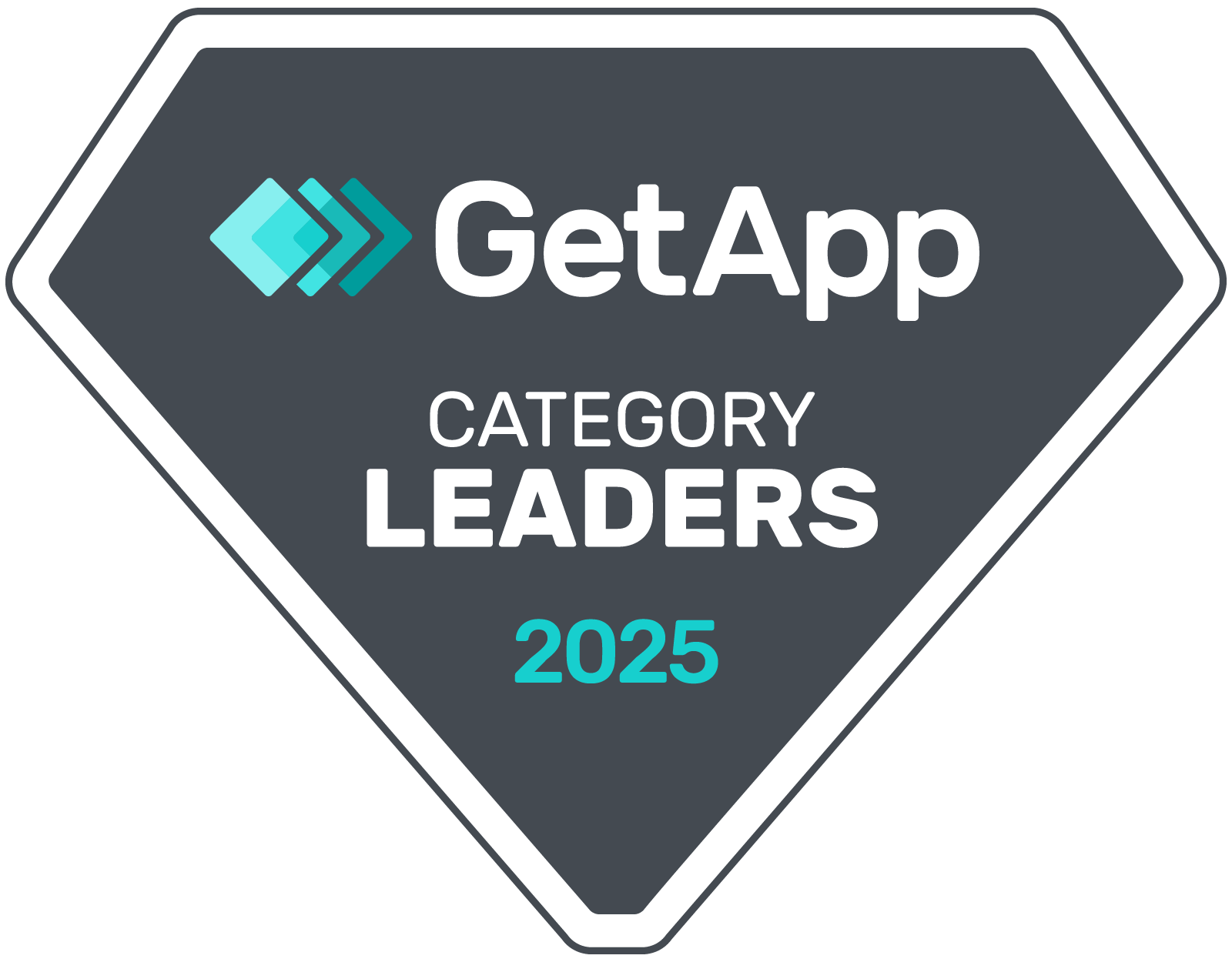 2025 Category Leaders