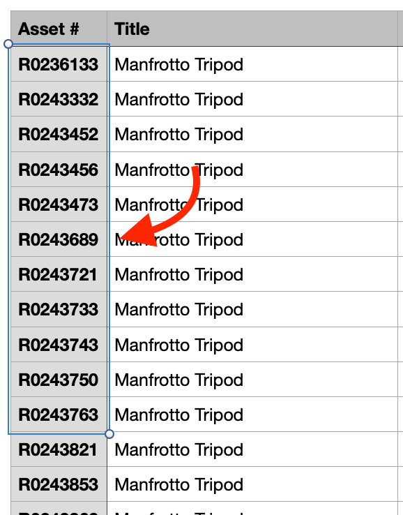 Asset IDs from CSV