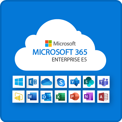 Microsoft enterprise