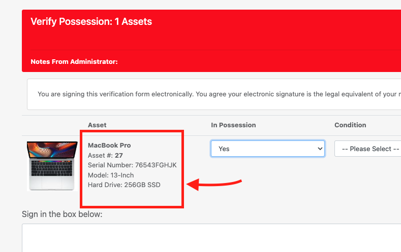 Custom fields display verification