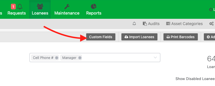 Custom fields loaness