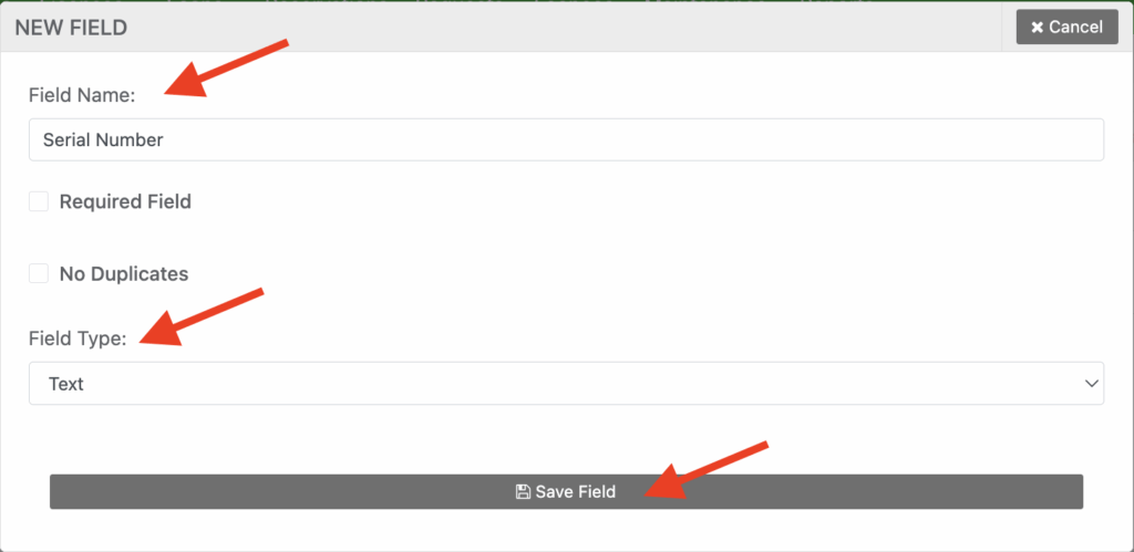 Customize new field name type save