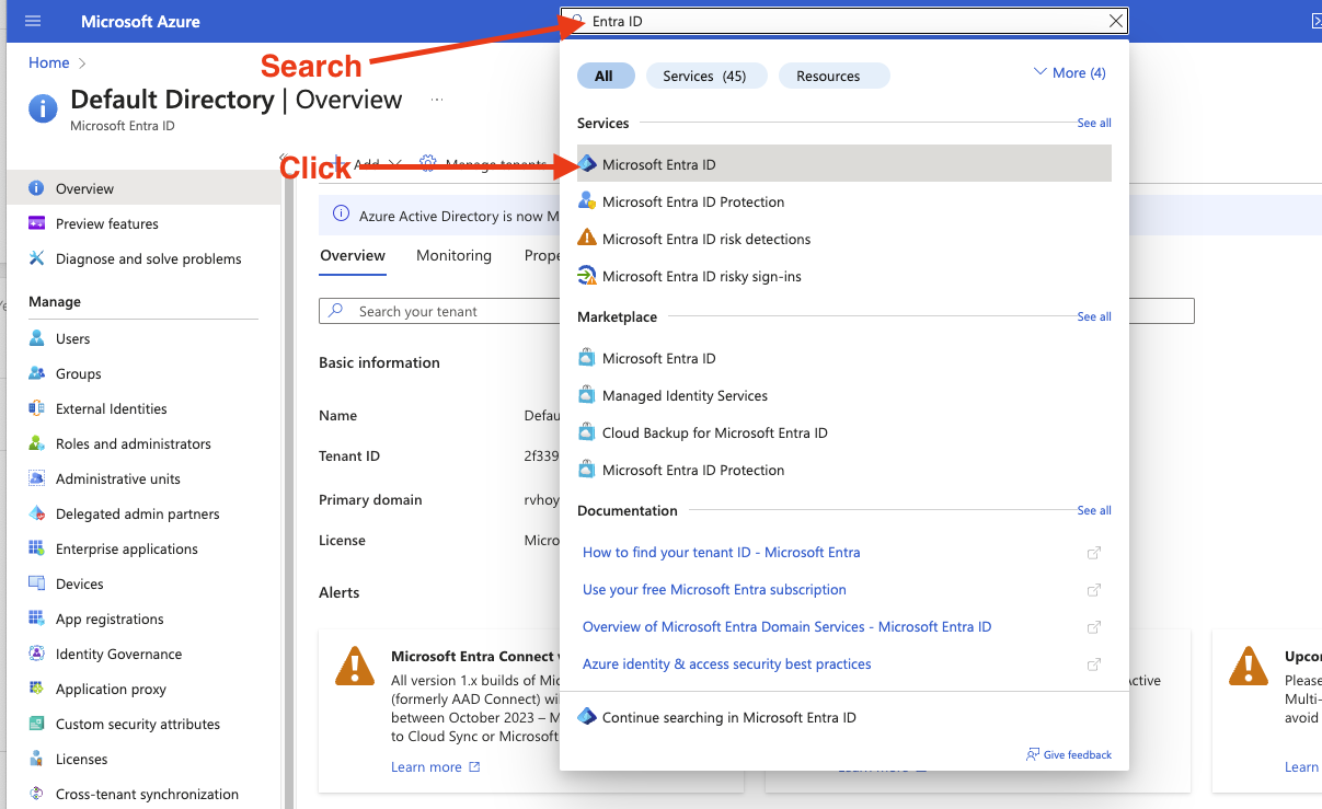Login to Azure and perform a search for “entra id”