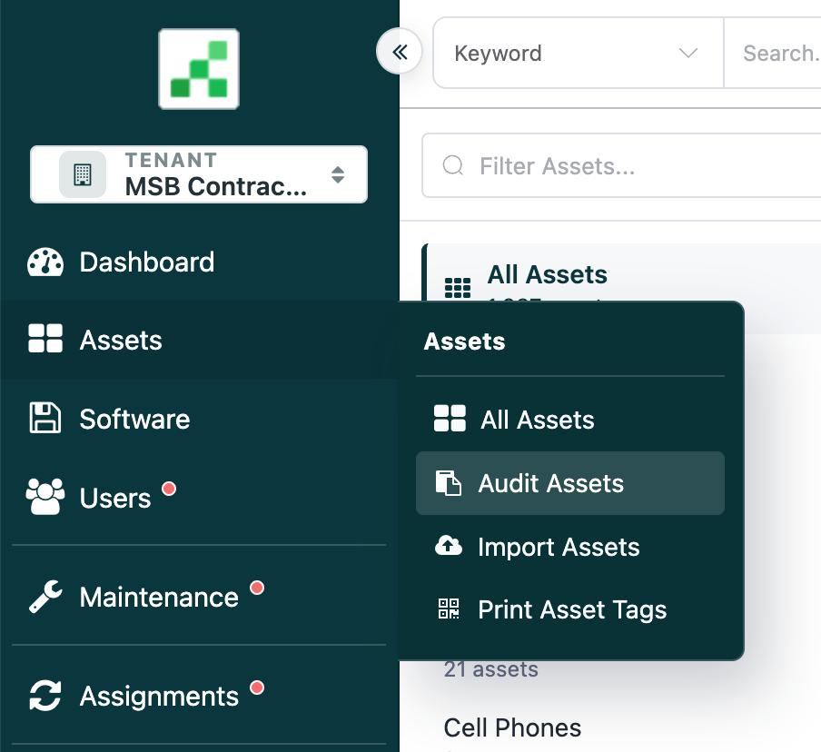 Audit Assets
